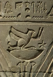 Detalj av et relieff, hieroglyfer kalkstein